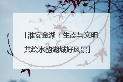 淮安金湖：生态与文明共绘水韵湖城好风景