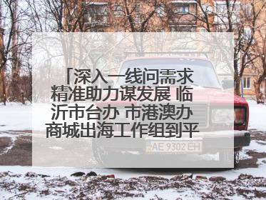 深入一线问需求 精准助力谋发展 临沂市台办 市港澳办商城出海工作组到平邑县走访调研