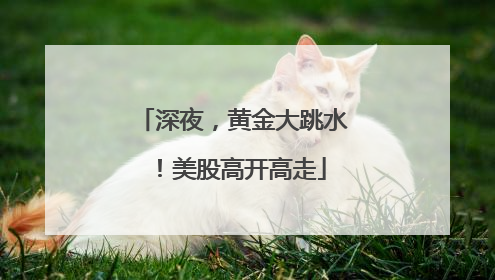 深夜，黄金大跳水！美股高开高走
