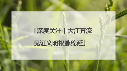 深度关注｜大江奔流见证文明根脉绵延