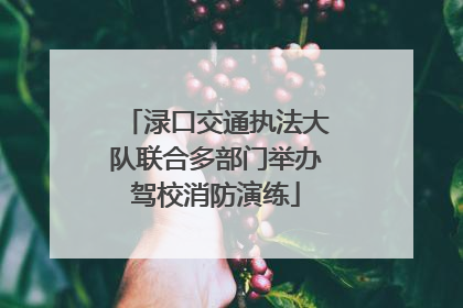 渌口交通执法大队联合多部门举办驾校消防演练