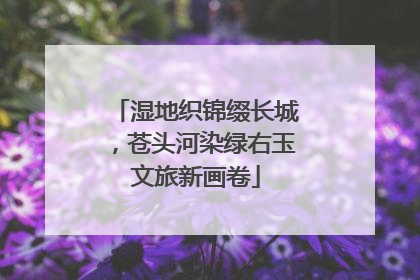 湿地织锦缀长城，苍头河染绿右玉文旅新画卷