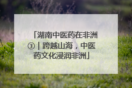 湖南中医药在非洲③｜跨越山海，中医药文化浸润非洲