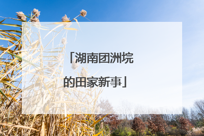 湖南团洲垸的田家新事