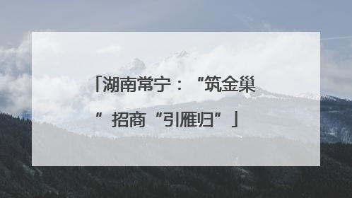 湖南常宁：“筑金巢”招商“引雁归”