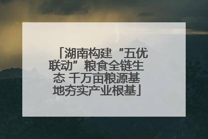 湖南构建“五优联动”粮食全链生态 千万亩粮源基地夯实产业根基