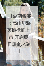 湖南新邵：高山早熟黄桃抢鲜上市 开启夏日甜蜜之旅