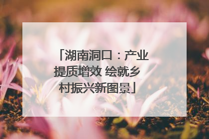 湖南洞口：产业提质增效 绘就乡村振兴新图景