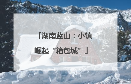 湖南蓝山：小镇崛起“箱包城”