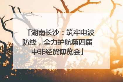 湖南长沙：筑牢电波防线，全力护航第四届中非经贸博览会