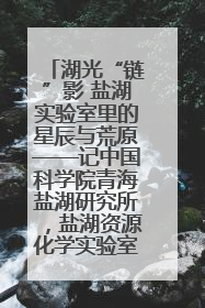 湖光“链”影 盐湖实验室里的星辰与荒原——记中国科学院青海盐湖研究所，盐湖资源化学实验室党总支书记、副主任刘忠