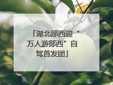 湖北郧西迎“万人游郧西”自驾首发团