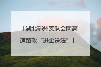 湖北鄂州支队会同高速路政“进企送法”