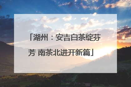 湖州：安吉白茶绽芬芳 南茶北进开新篇