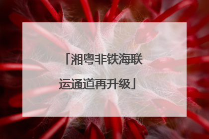 湘粤非铁海联运通道再升级