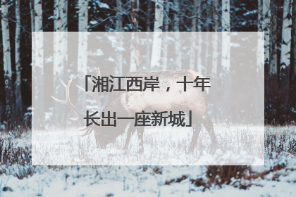 湘江西岸，十年长出一座新城
