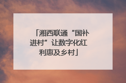 湘西联通“国补进村”让数字化红利惠及乡村