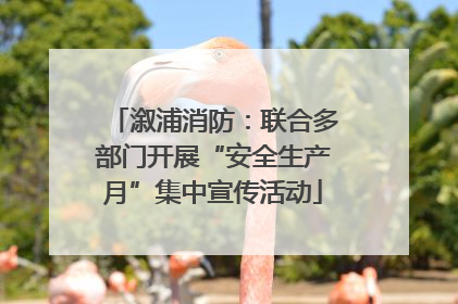 溆浦消防：联合多部门开展“安全生产月”集中宣传活动