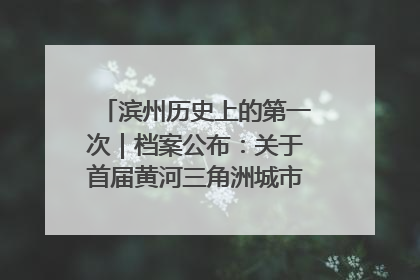 滨州历史上的第一次｜档案公布：关于首届黄河三角洲城市经济博览会暨发展论坛情况的总结报告