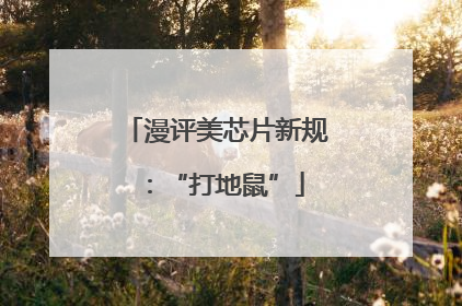 漫评美芯片新规：“打地鼠”