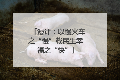 漫评：以慢火车之“慢”载民生幸福之“快”