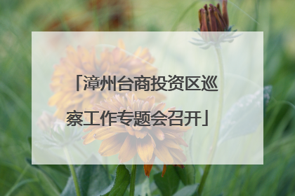漳州台商投资区巡察工作专题会召开
