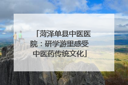 菏泽单县中医医院：研学游里感受中医药传统文化