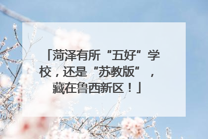 菏泽有所“五好”学校，还是“苏教版”，藏在鲁西新区！
