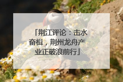 荆江评论：击水奋楫，荆州龙舟产业正破浪前行