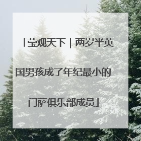 莹观天下｜两岁半英国男孩成了年纪最小的门萨俱乐部成员