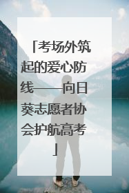 考场外筑起的爱心防线——向日葵志愿者协会护航高考