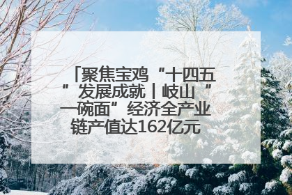 聚焦宝鸡“十四五”发展成就丨岐山“一碗面”经济全产业链产值达162亿元 入选全国典型县