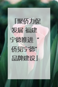 聚侨力促发展 福建宁德推进“侨见宁德”品牌建设