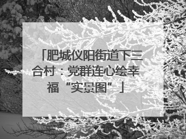 肥城仪阳街道下三合村：党群连心绘幸福“实景图”