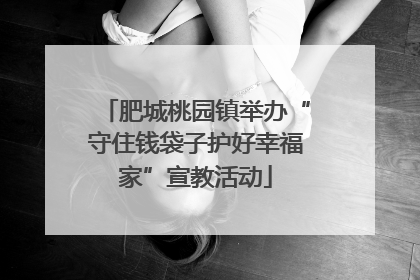 肥城桃园镇举办“守住钱袋子护好幸福家”宣教活动