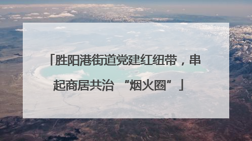 胜阳港街道党建红纽带，串起商居共治 “烟火圈”