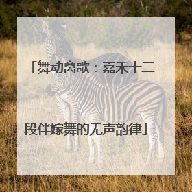 舞动离歌：嘉禾十二段伴嫁舞的无声韵律