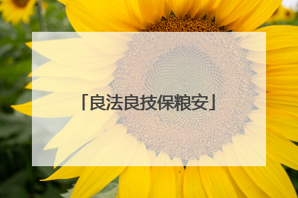 良法良技保粮安