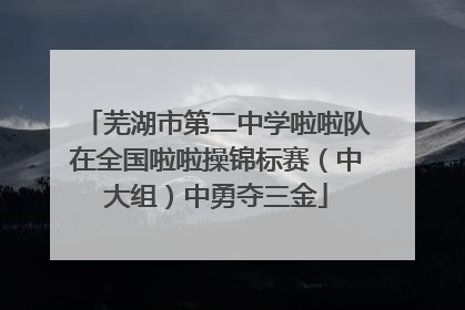 芜湖市第二中学啦啦队在全国啦啦操锦标赛（中大组）中勇夺三金