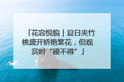 花容悦貌｜夏日夹竹桃盛开娇艳繁花，但观赏时“碰不得”