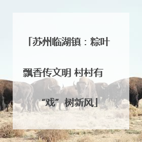 苏州临湖镇：粽叶飘香传文明 村村有“戏”树新风