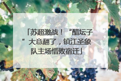 苏超激战！“醋坛子”大意翻了，镇江圣象队主场惜败宿迁