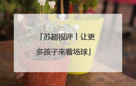 苏超视评︱让更多孩子来看场球