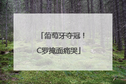 葡萄牙夺冠！C罗掩面痛哭