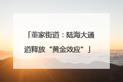 董家街道：陆海大通道释放“黄金效应”