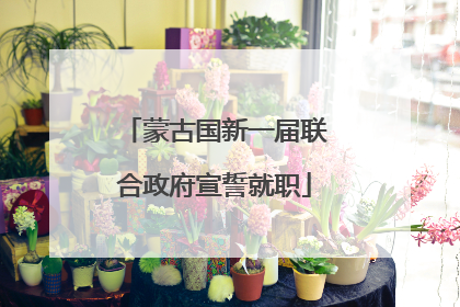 蒙古国新一届联合政府宣誓就职