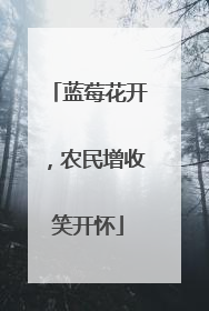 蓝莓花开，农民增收笑开怀
