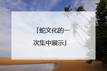 蛇文化的一次集中展示