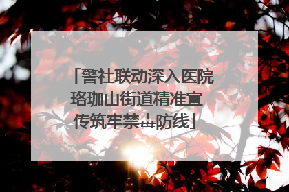 警社联动深入医院 珞珈山街道精准宣传筑牢禁毒防线