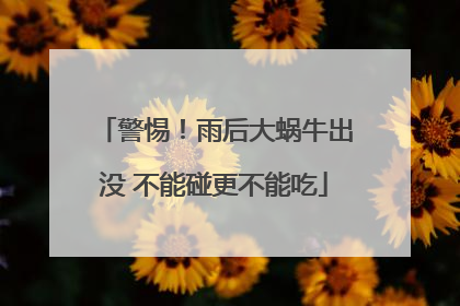 警惕！雨后大蜗牛出没 不能碰更不能吃
